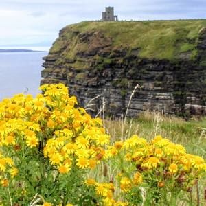 Meet your Posher, Kimberley